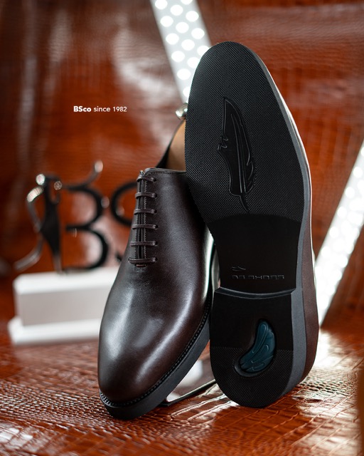 Classic Men's Shoes Model Code: 3030 Polished Genuine Leather Oxford EPR Sole – Brown